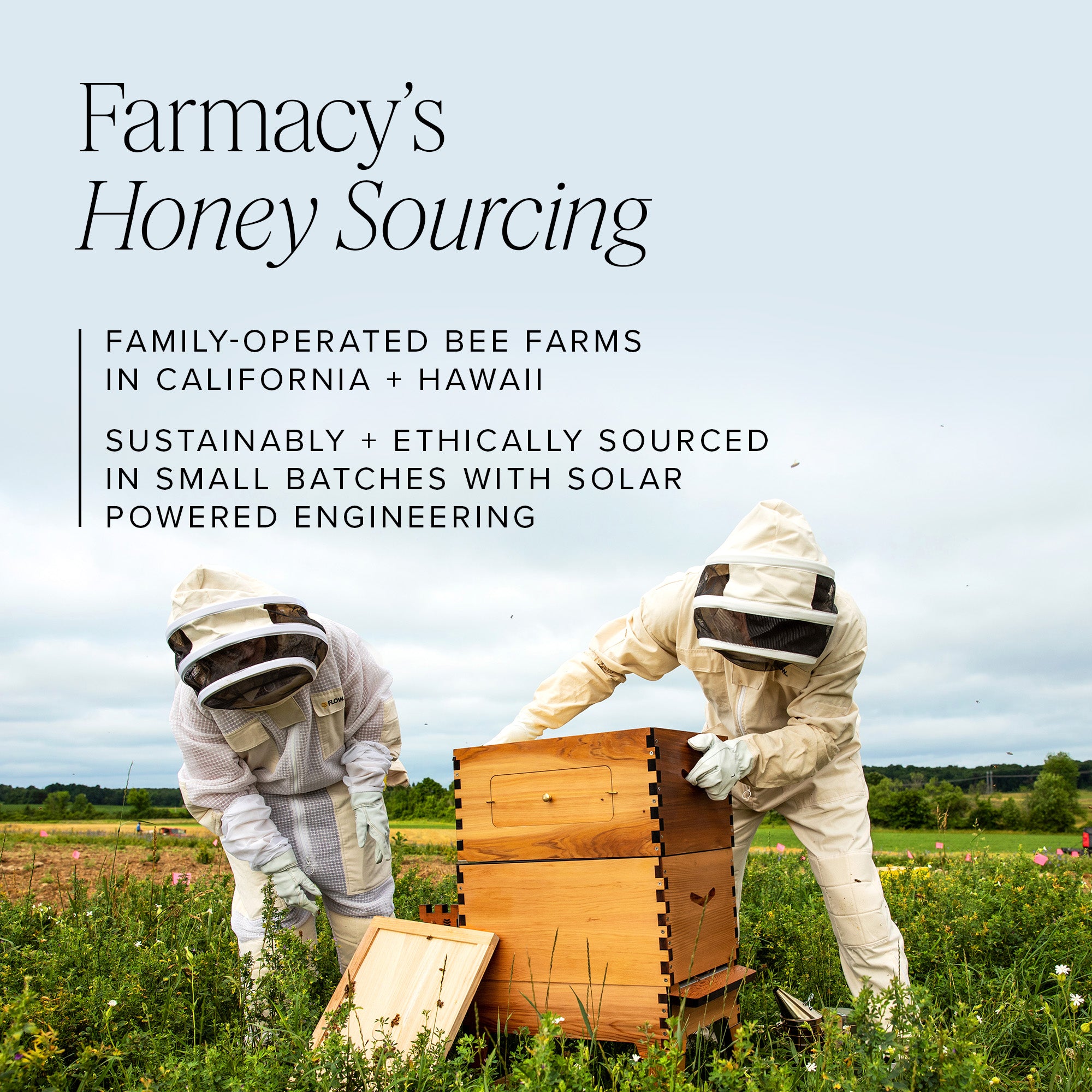 Honey Halo Ultra-Hydrating Ceramide Moisturizer - Image 9